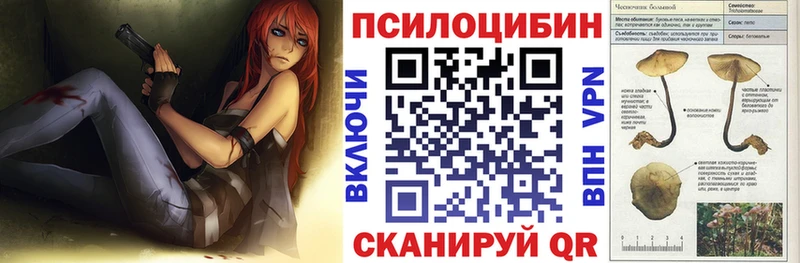 Купить закладки  Серпухов  Галлюциногенные грибы мухоморы 
